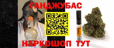 гидропоника Брянск