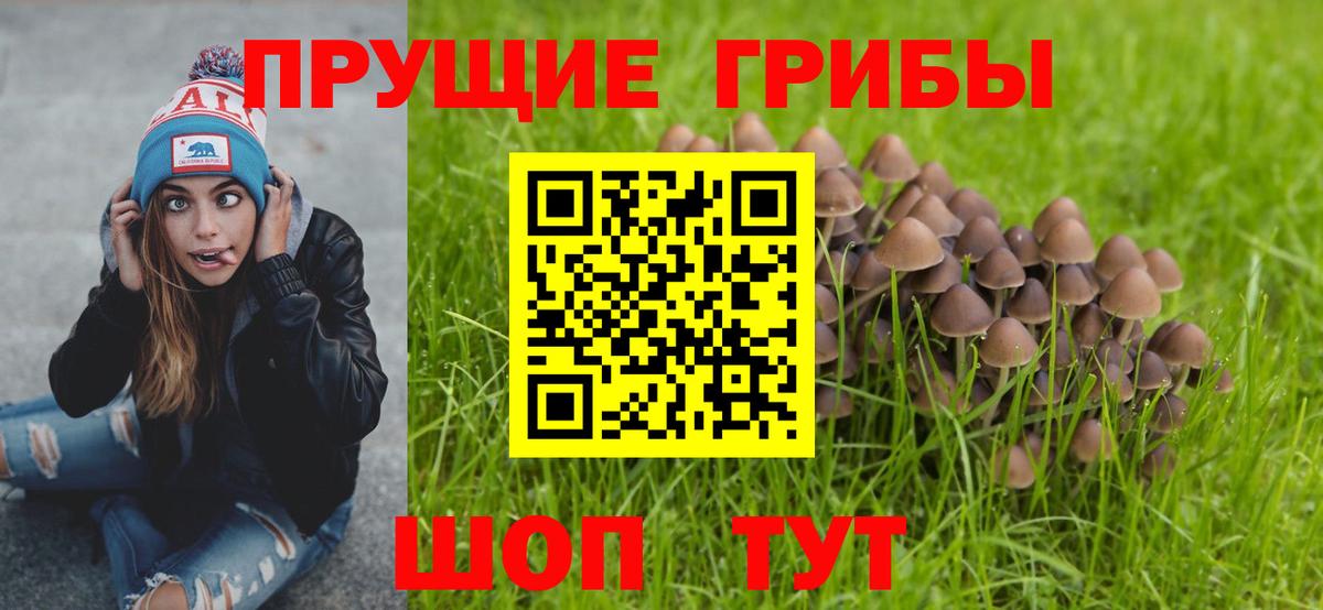 Добрянка  Галлюциногенные грибы мухоморы  Вход с VPN 